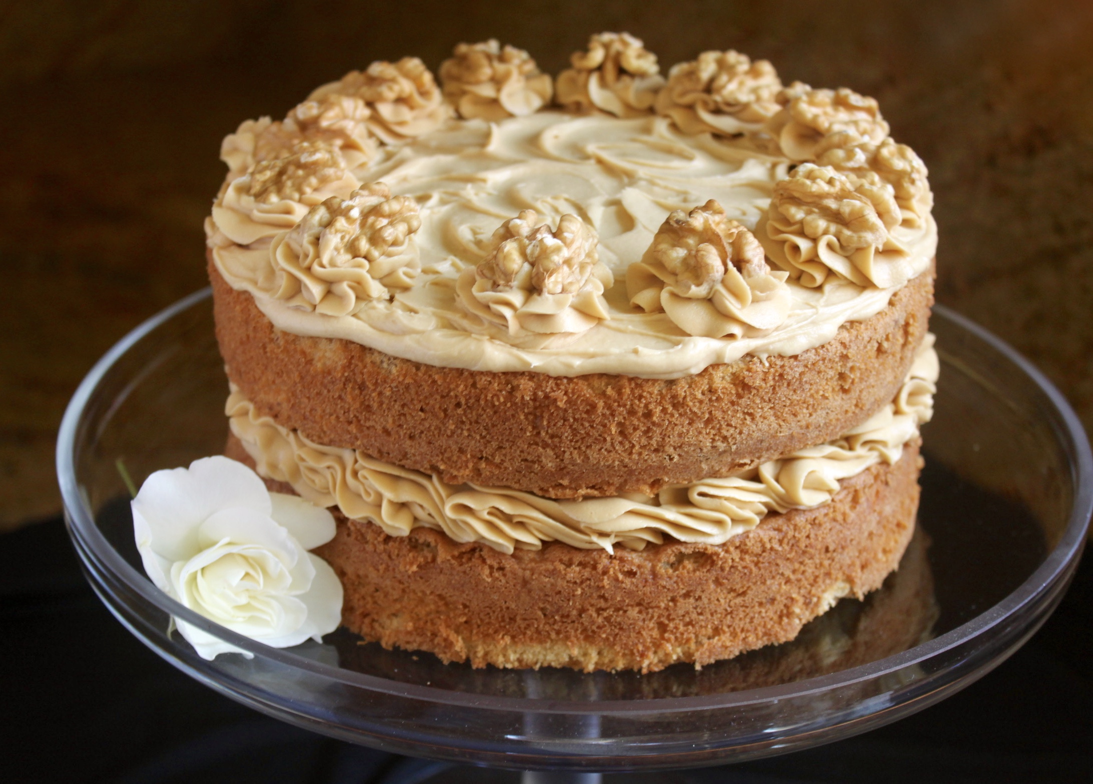 walnut and coffee cake